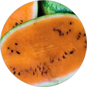 Orange watermelon halves showing ripe orange flesh