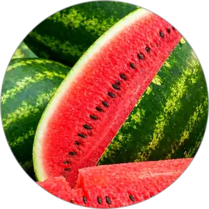 Red seeded watermelon cut open showing ripe red flesh