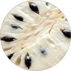 Soursop cut open showing creamy white flesh and black seeds