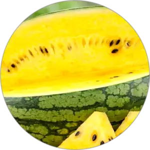 Yellow watermelon cut open showing ripe yellow flesh